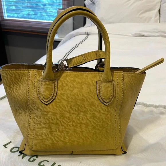 Longchamp Small Mailbox Leather Crossbody Bag